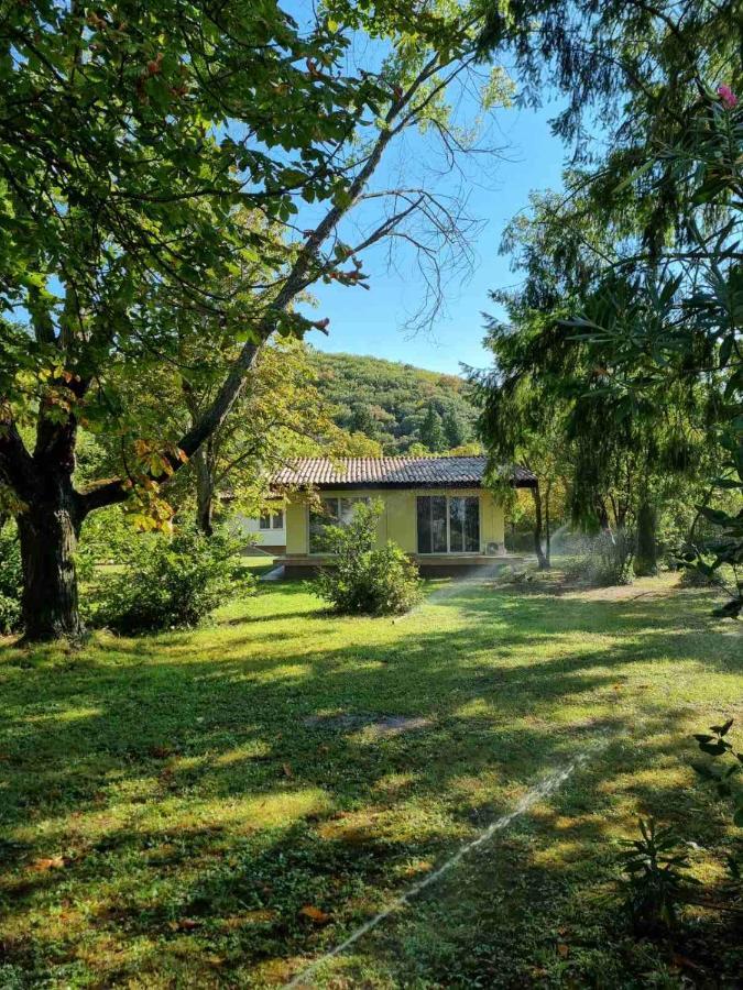 Fuk-Tak'S Bungalow Dojran Exterior foto