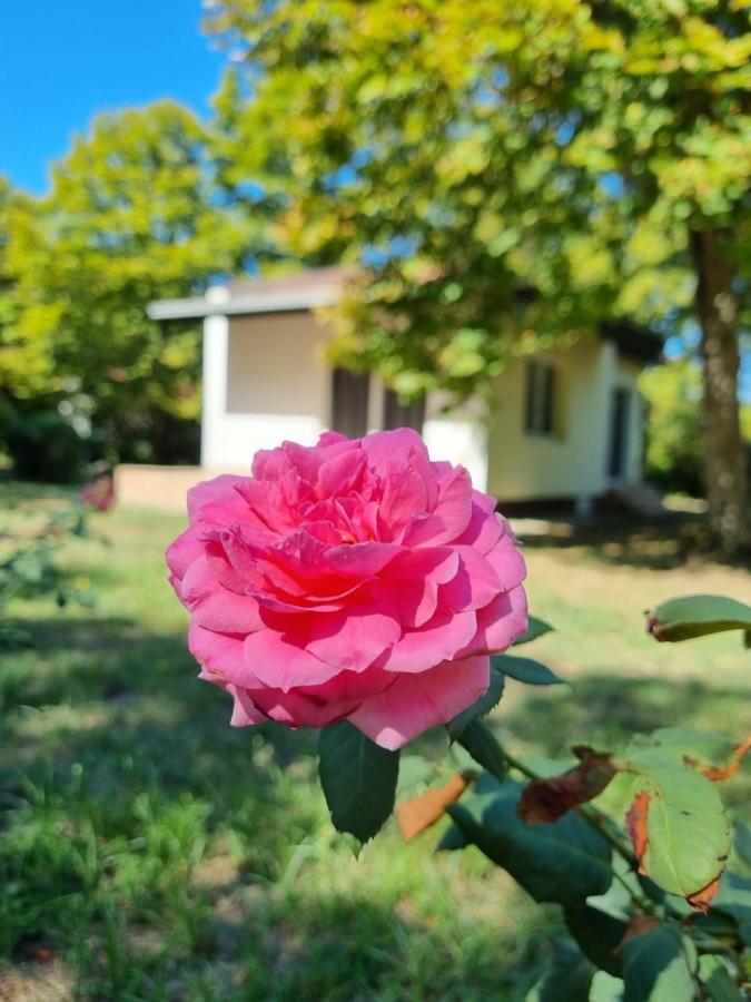 Fuk-Tak'S Bungalow Dojran Exterior foto